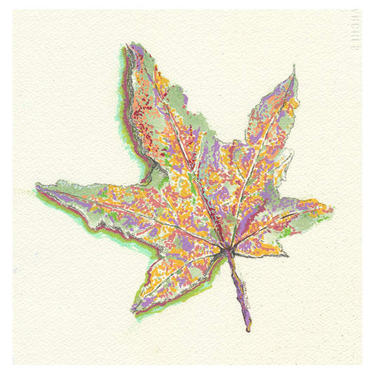 "Simple Beauty of Fall"